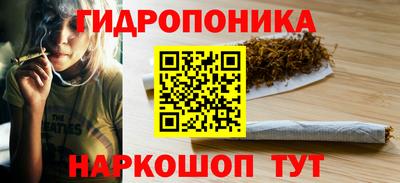 молекула духа Донской
