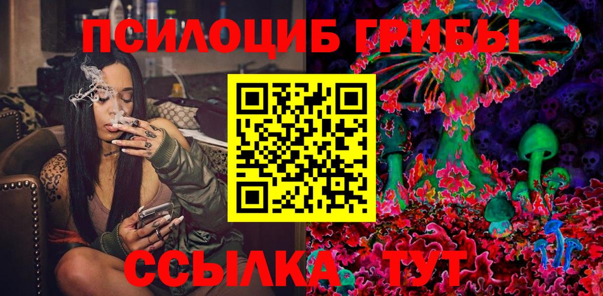 Псилоцибиновые грибы прущие грибы  Вход с VPN  Можга  Псилоцибиновые грибы прущие грибы 