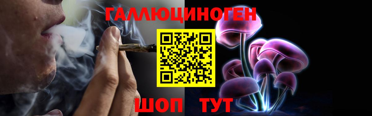 Галлюциногенные грибы Psilocybe Можга